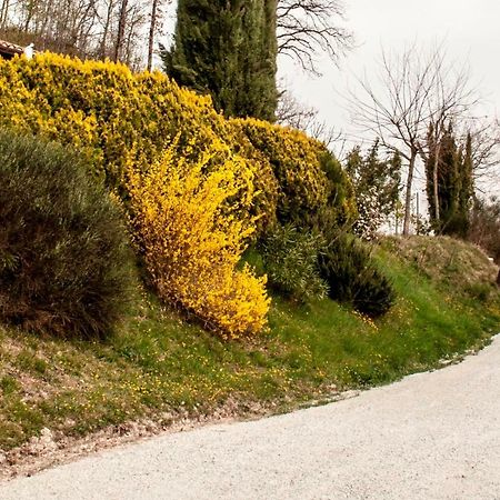 Calmancino Delle Selve Bed & Breakfast Urbino Bagian luar foto