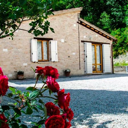 Calmancino Delle Selve Bed & Breakfast Urbino Bagian luar foto