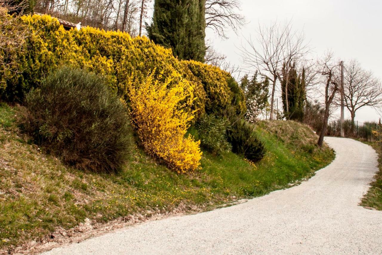 Calmancino Delle Selve Bed & Breakfast Urbino Bagian luar foto