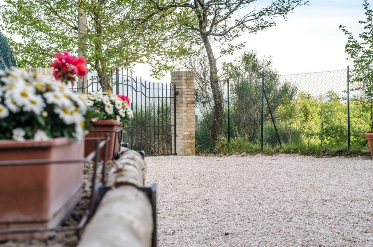 Calmancino Delle Selve Bed & Breakfast Urbino Bagian luar foto