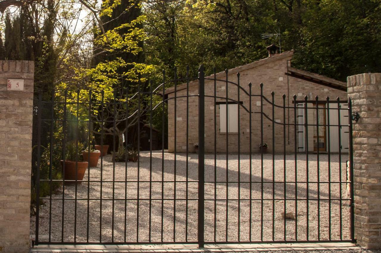Calmancino Delle Selve Bed & Breakfast Urbino Bagian luar foto