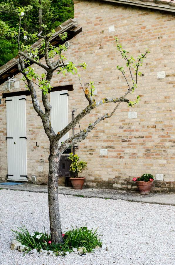 Calmancino Delle Selve Bed & Breakfast Urbino Bagian luar foto