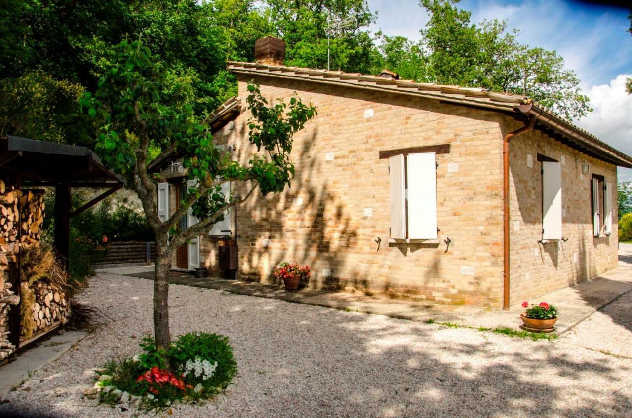 Calmancino Delle Selve Bed & Breakfast Urbino Bagian luar foto
