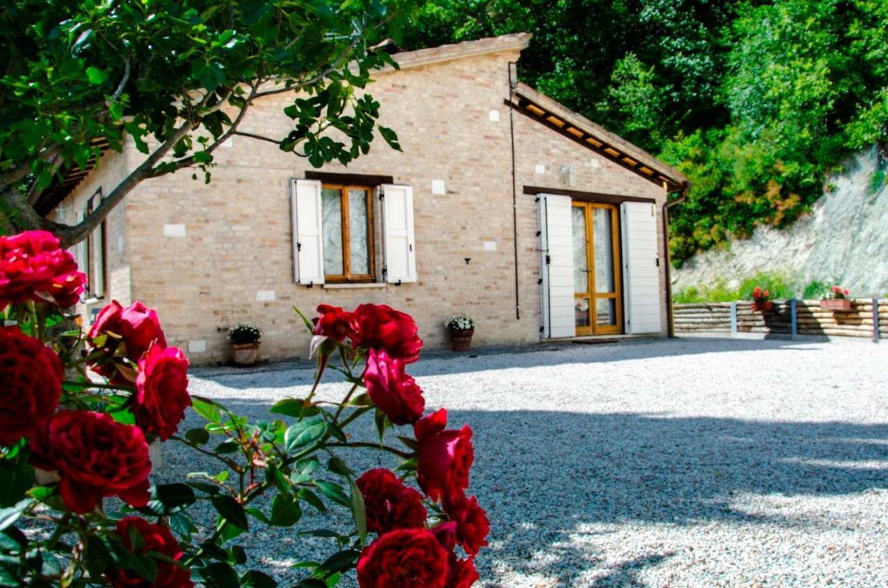 Calmancino Delle Selve Bed & Breakfast Urbino Bagian luar foto
