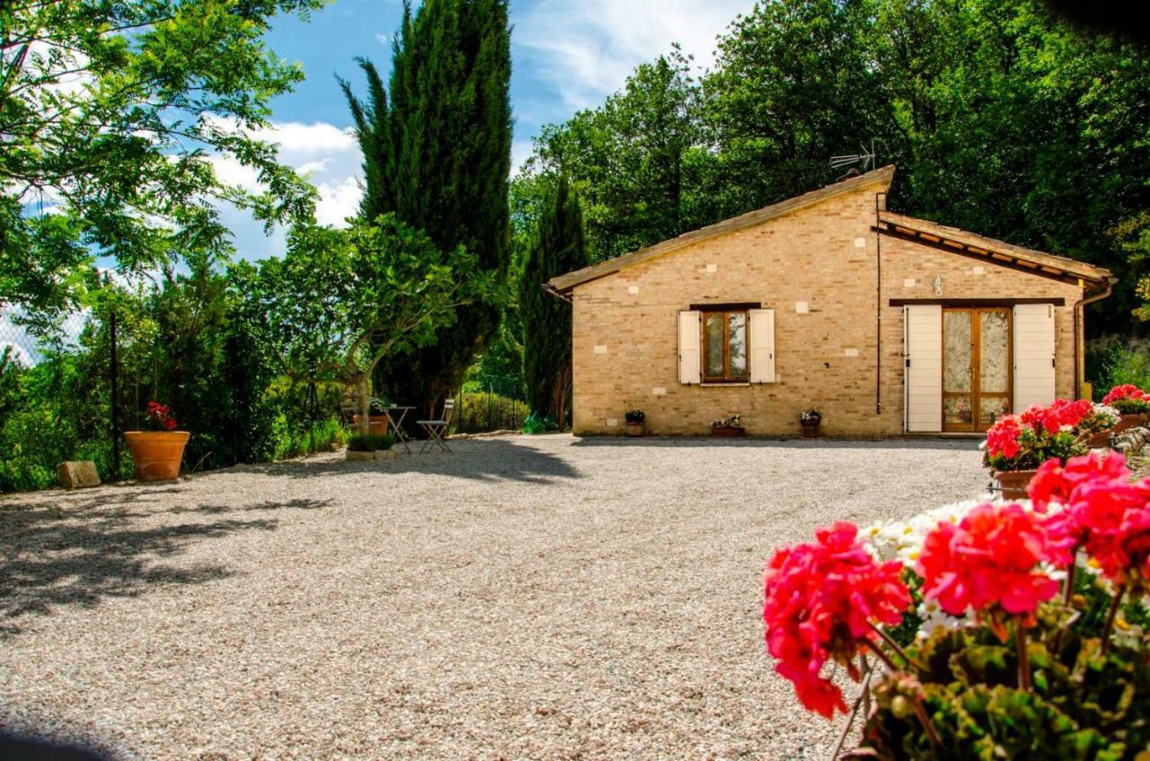 Calmancino Delle Selve Bed & Breakfast Urbino Bagian luar foto