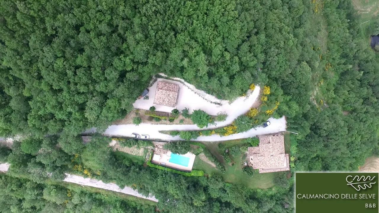 Calmancino Delle Selve Bed & Breakfast Urbino Bagian luar foto