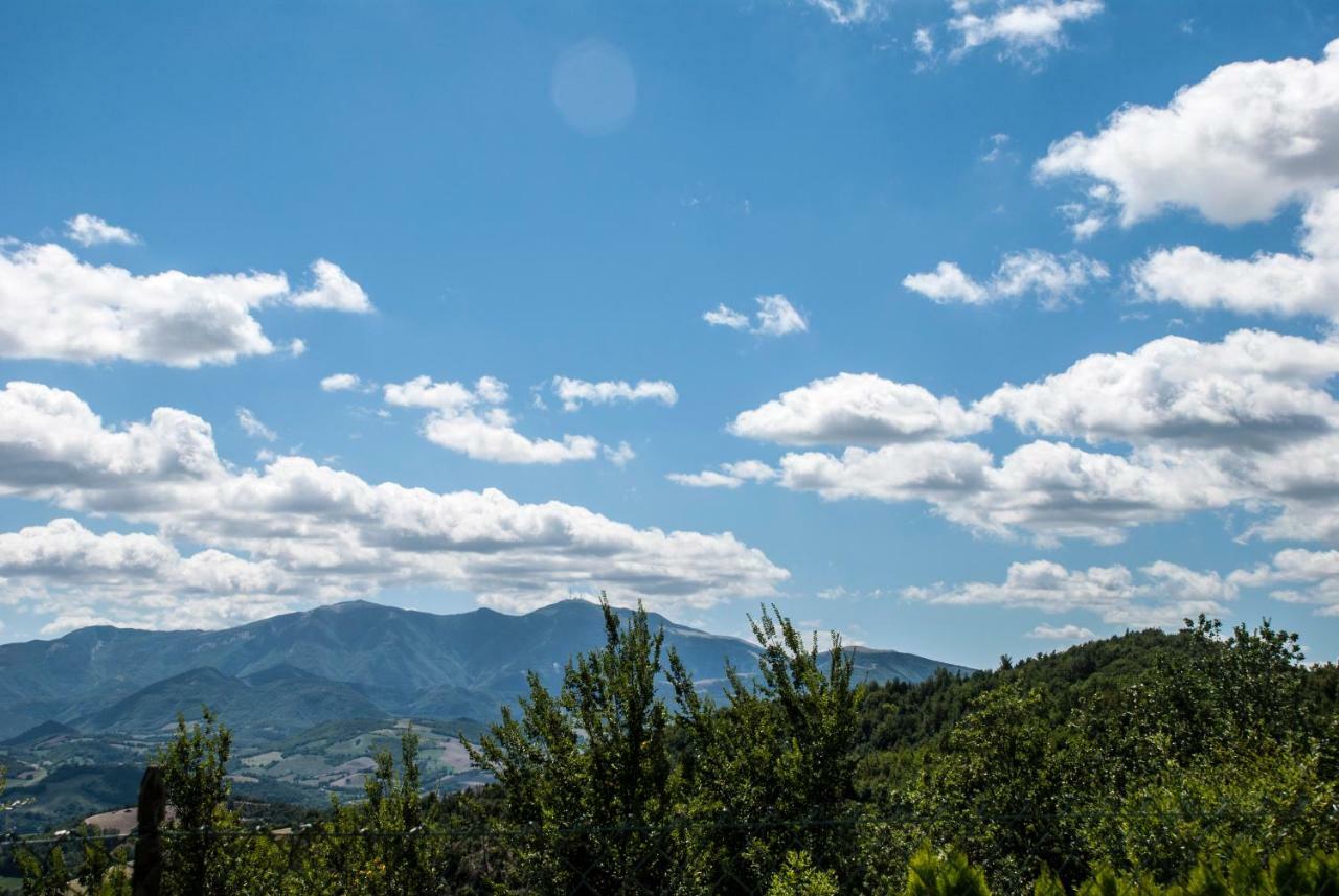 Calmancino Delle Selve Bed & Breakfast Urbino Bagian luar foto