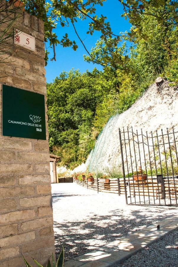 Calmancino Delle Selve Bed & Breakfast Urbino Bagian luar foto