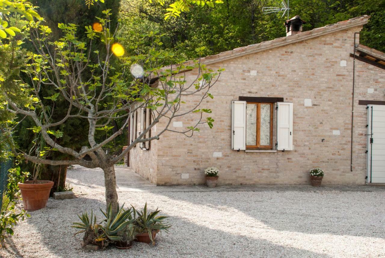 Calmancino Delle Selve Bed & Breakfast Urbino Bagian luar foto