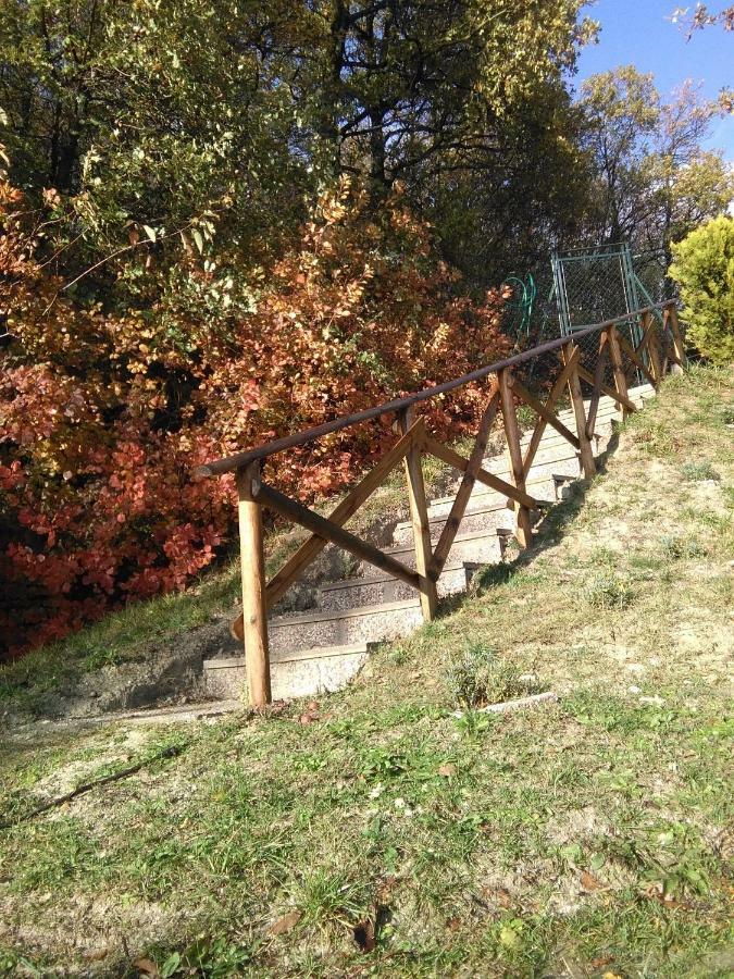 Calmancino Delle Selve Bed & Breakfast Urbino Bagian luar foto