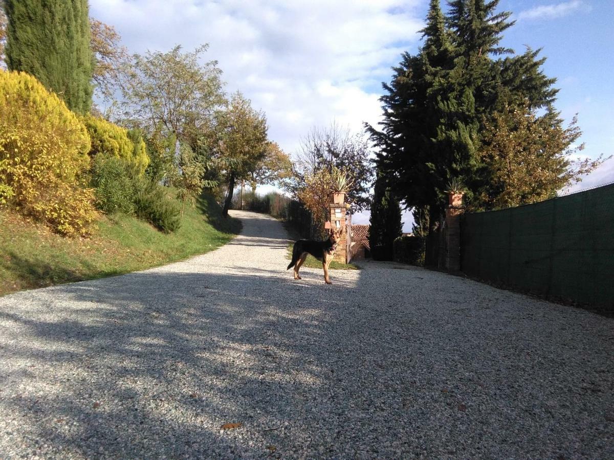 Calmancino Delle Selve Bed & Breakfast Urbino Bagian luar foto