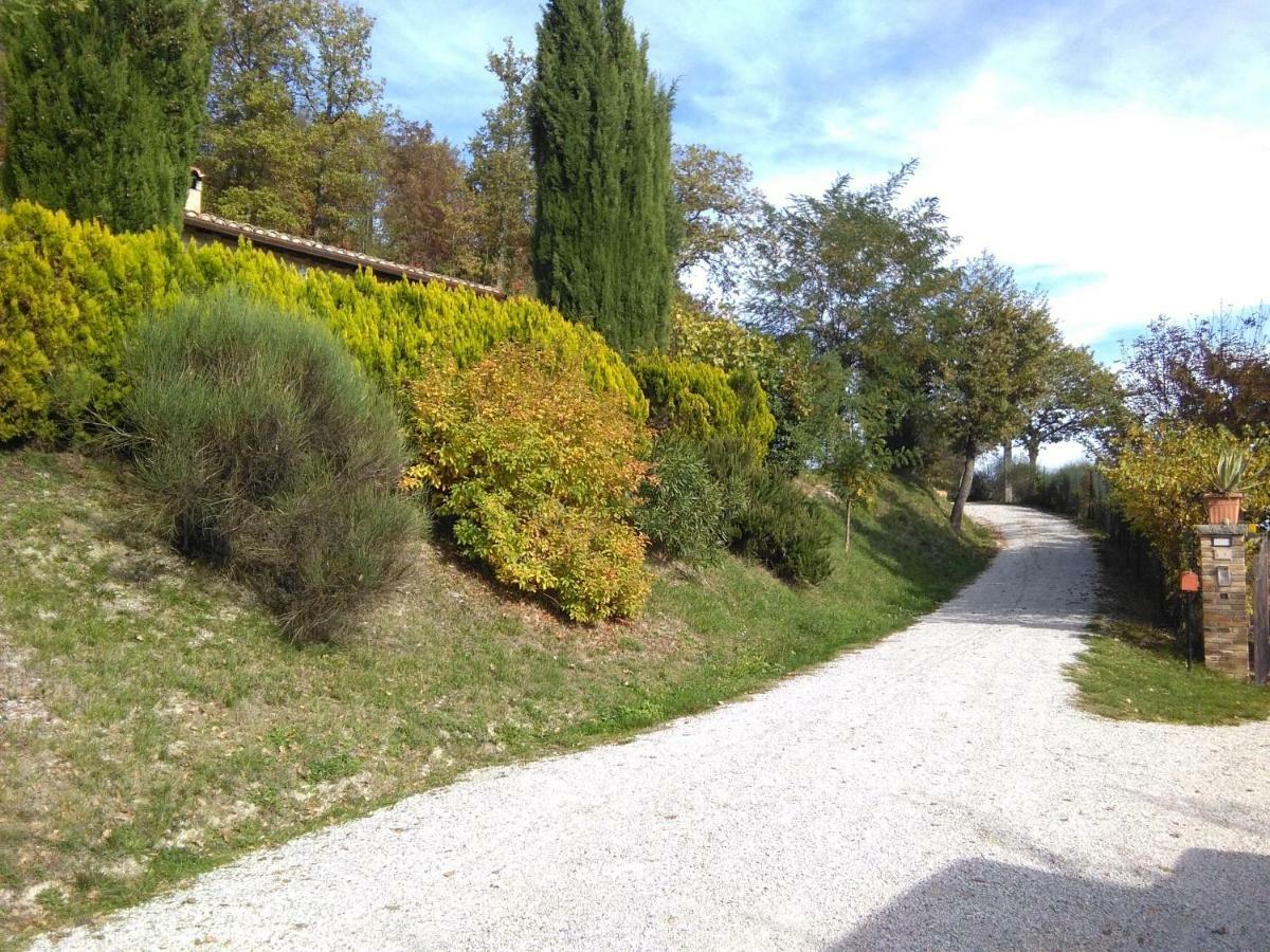 Calmancino Delle Selve Bed & Breakfast Urbino Bagian luar foto